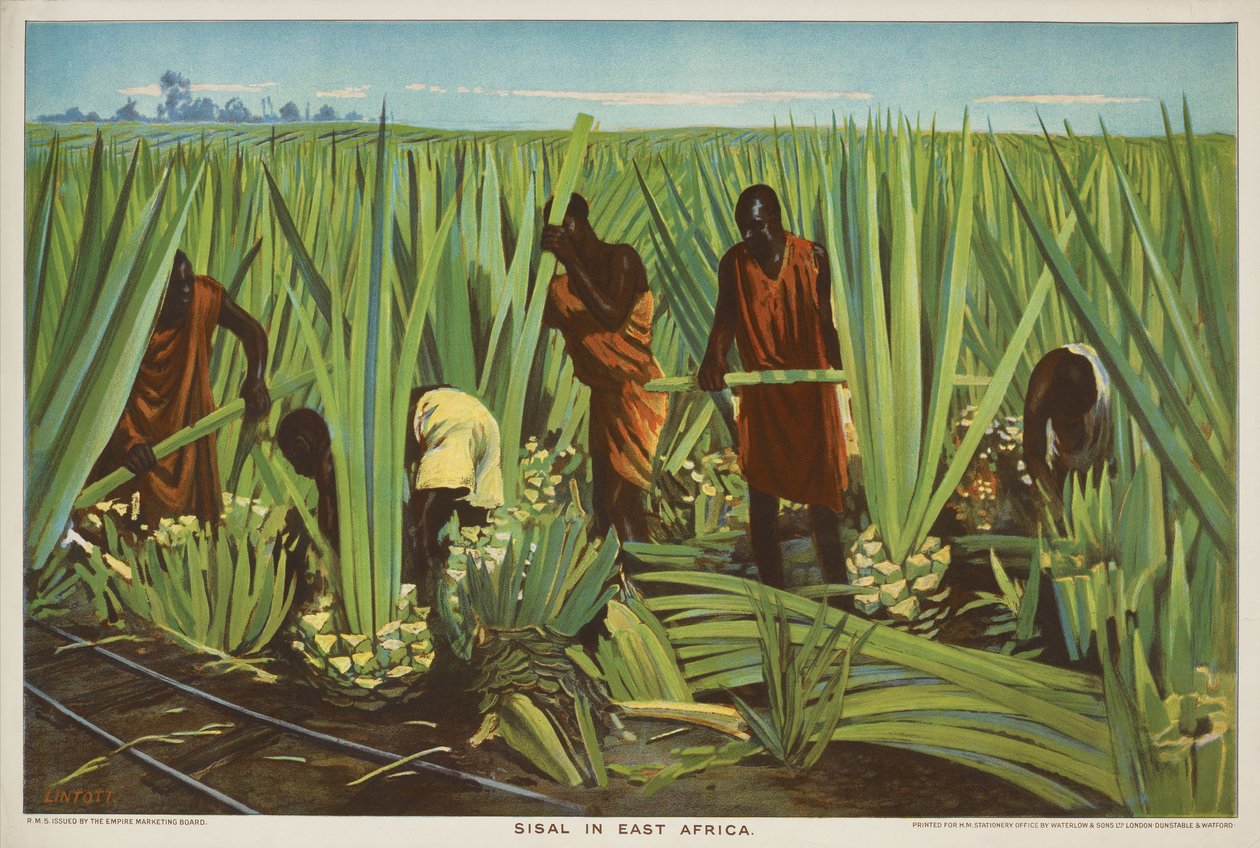 Sisal in Oost-Afrika, uit de serie 