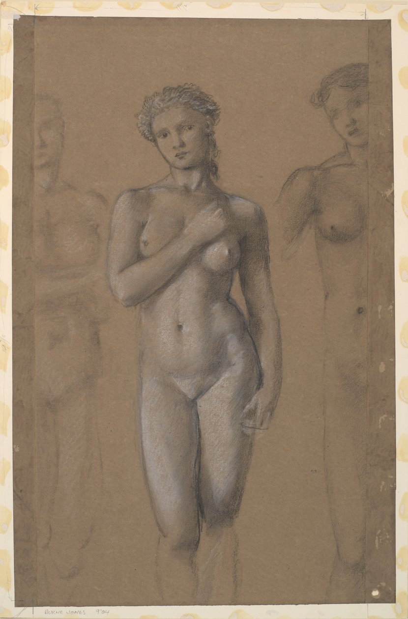 Vrouwelijk Naakt - Drie Studies, mogelijk voor Venus door Edward Burne-Jones