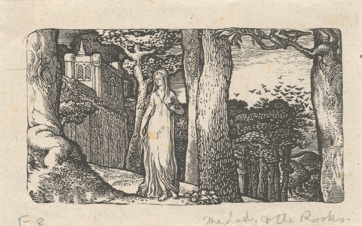 De Dame en de Roeken door Edward Calvert