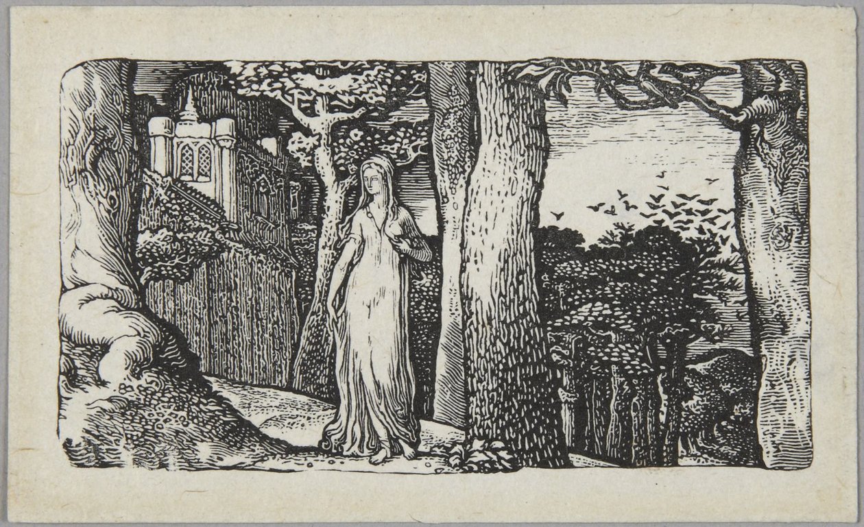 De dame met de roeken door Edward Calvert