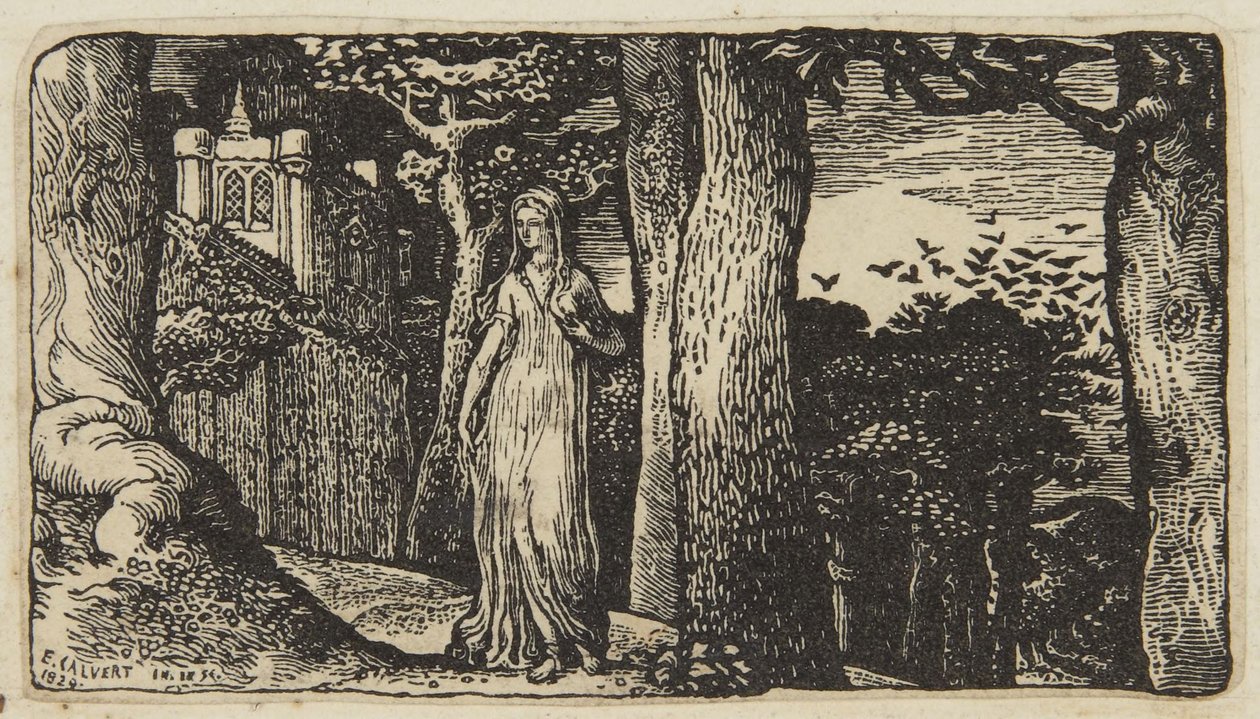 De dame met de roeken door Edward Calvert