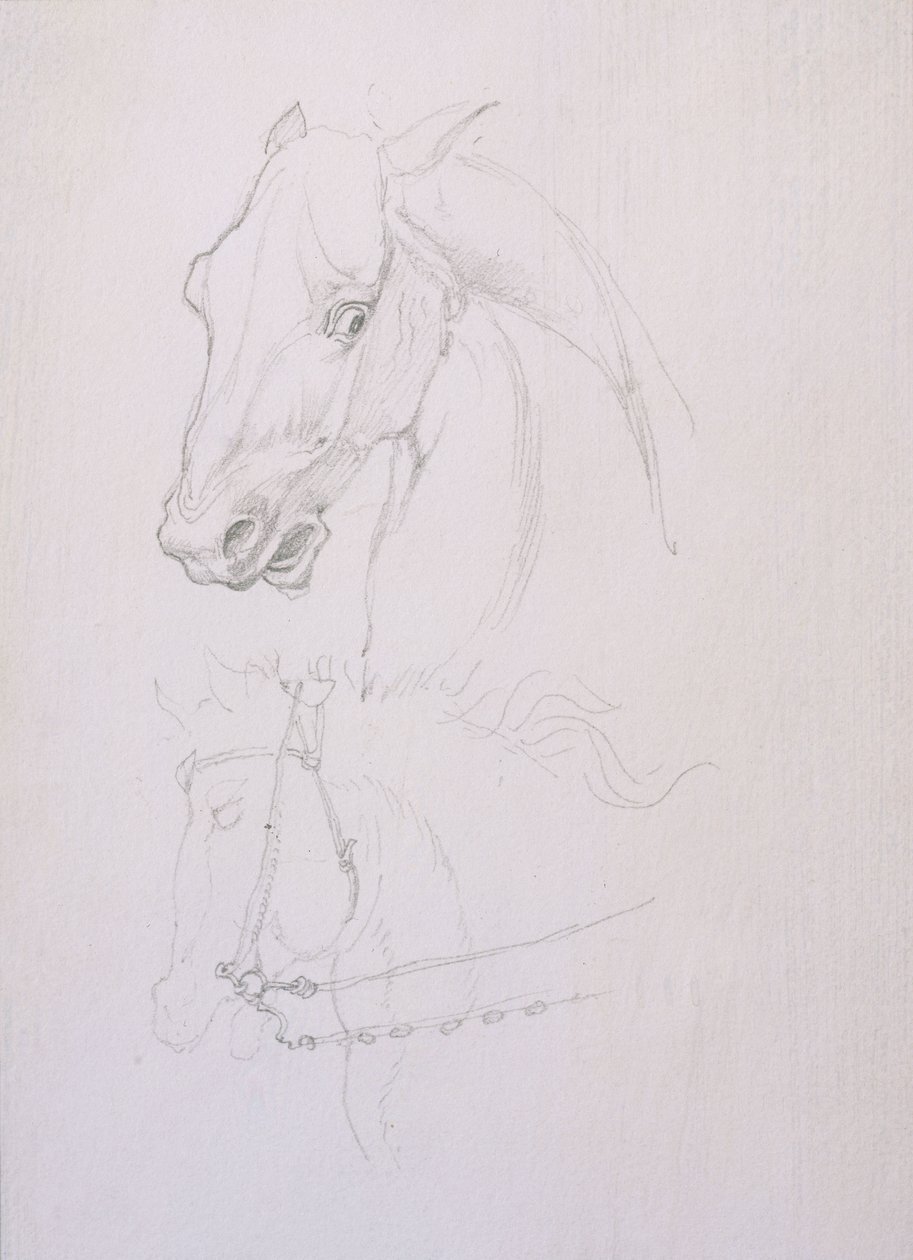 Studie van een paardenhoofd door Edward Coley Burne Jones