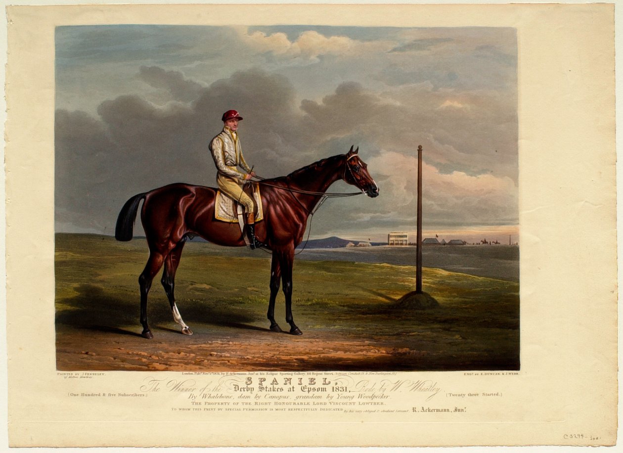 ‘Spaniel’ door Edward Duncan
