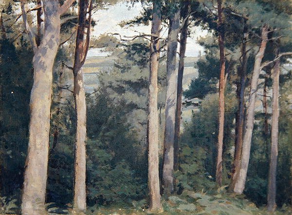 Lambert Kasteel door Edward Ingram Taylor