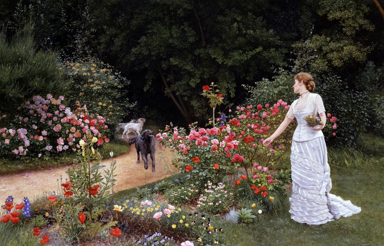 De aankomst 1878. Een elegante vrouw in een witte jurk plukt bloemen (rozen) in een tuin. Vlakbij haar komen (arrivee) de honden die de komst van een persoon aankondigen. Schilderij van Edward Killingworth Johnson (1825-1896 Brits). Prerafaëlisme door Edward Killingworth Johnson