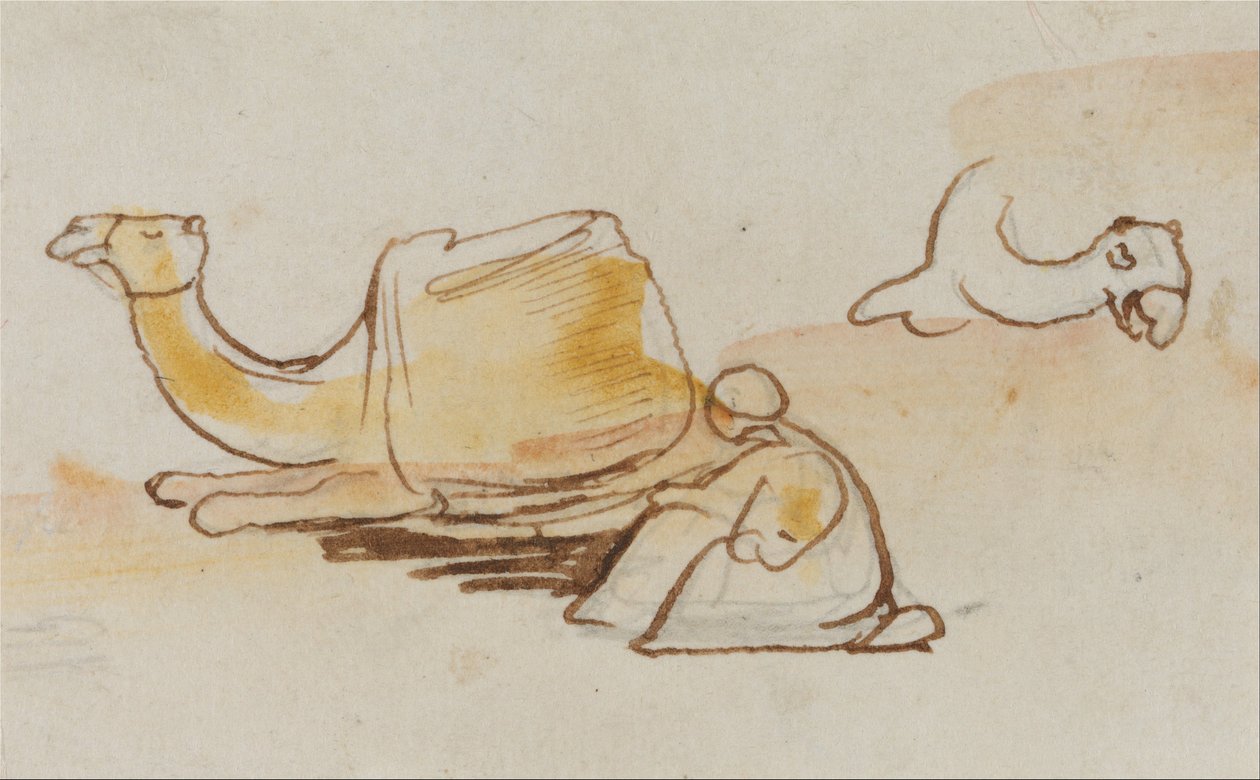 Kamelenstudies door Edward Lear