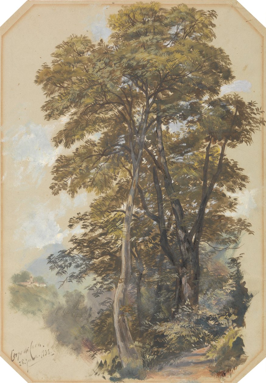 Corpo di Cava, 28 juni 1838 door Edward Lear