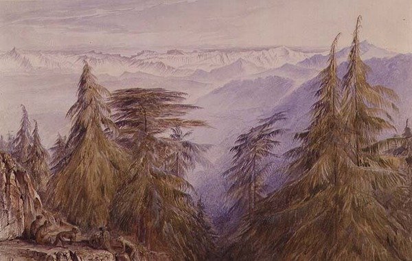 Apen op een rots bij Simla, Noord-India door Edward Lear