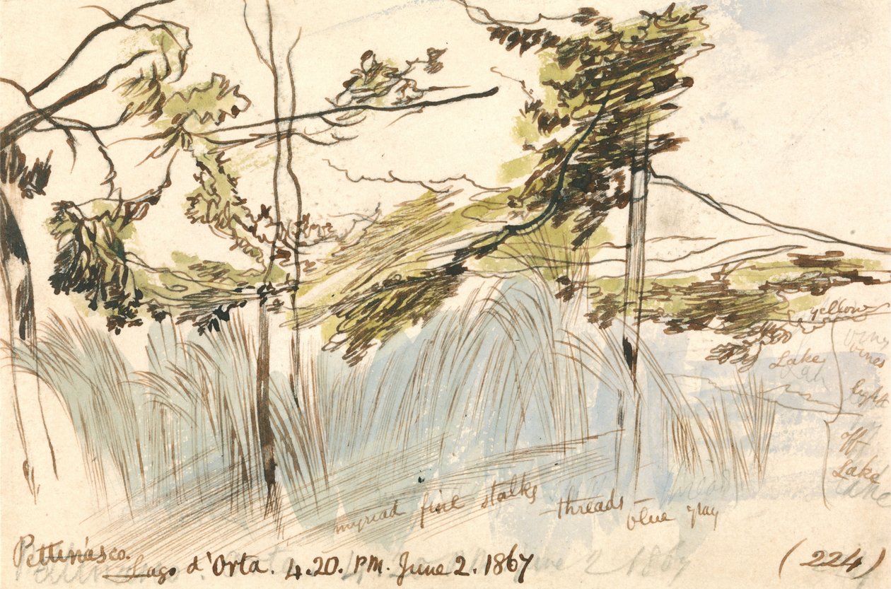 Pettenasco, Ortameer, 16:20 uur, 2 juni 1867 (224) door Edward Lear