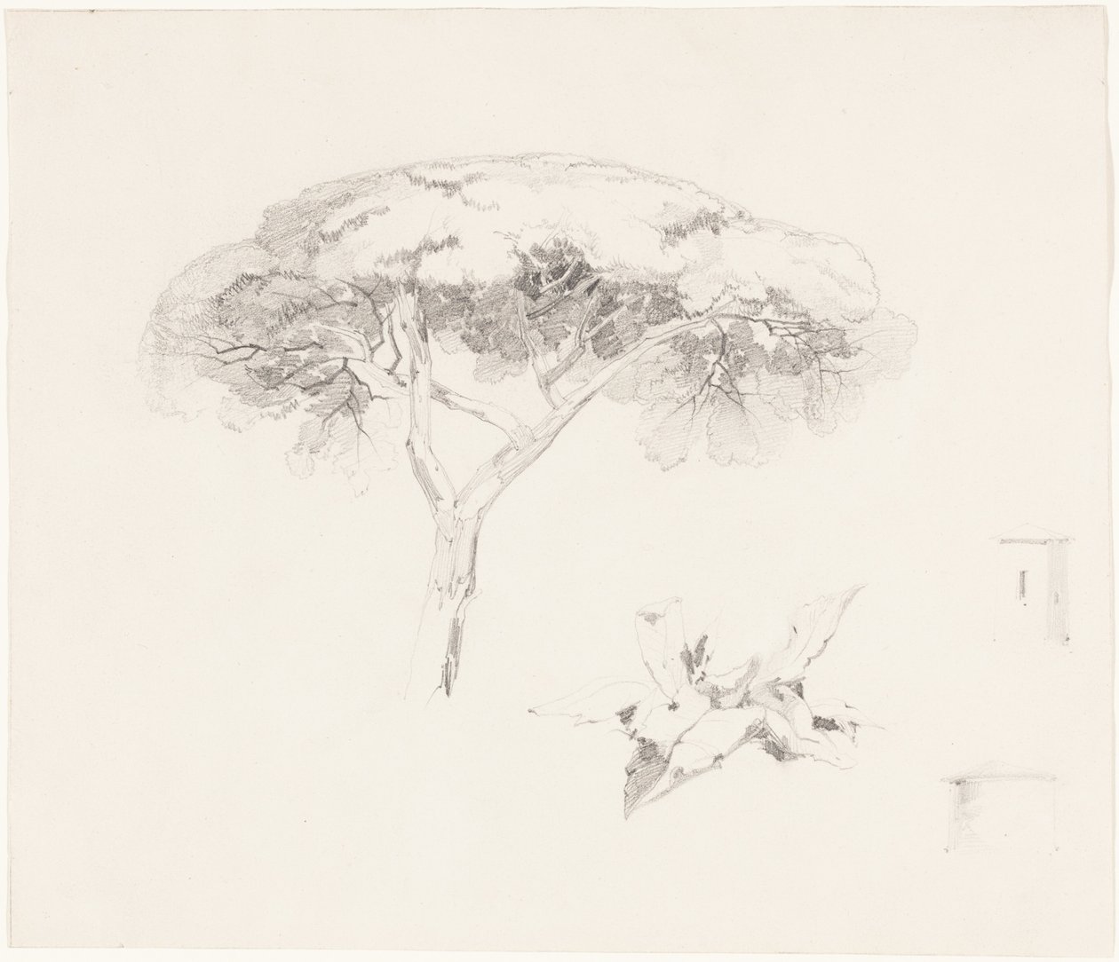 Paraplu-den en andere studies door Edward Lear
