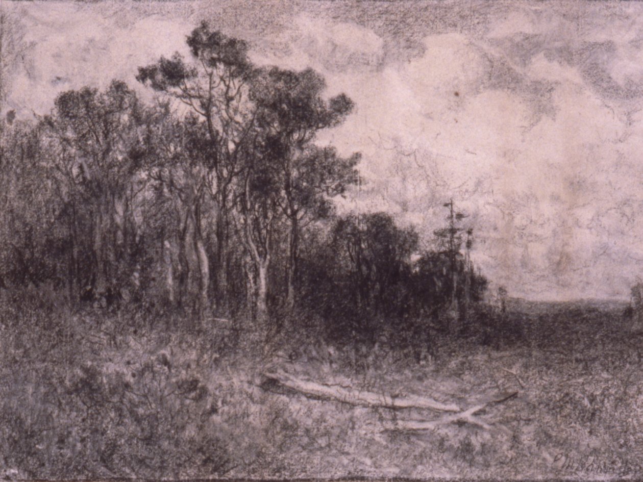Landschap, Boslandschap door Edward Mitchell Bannister