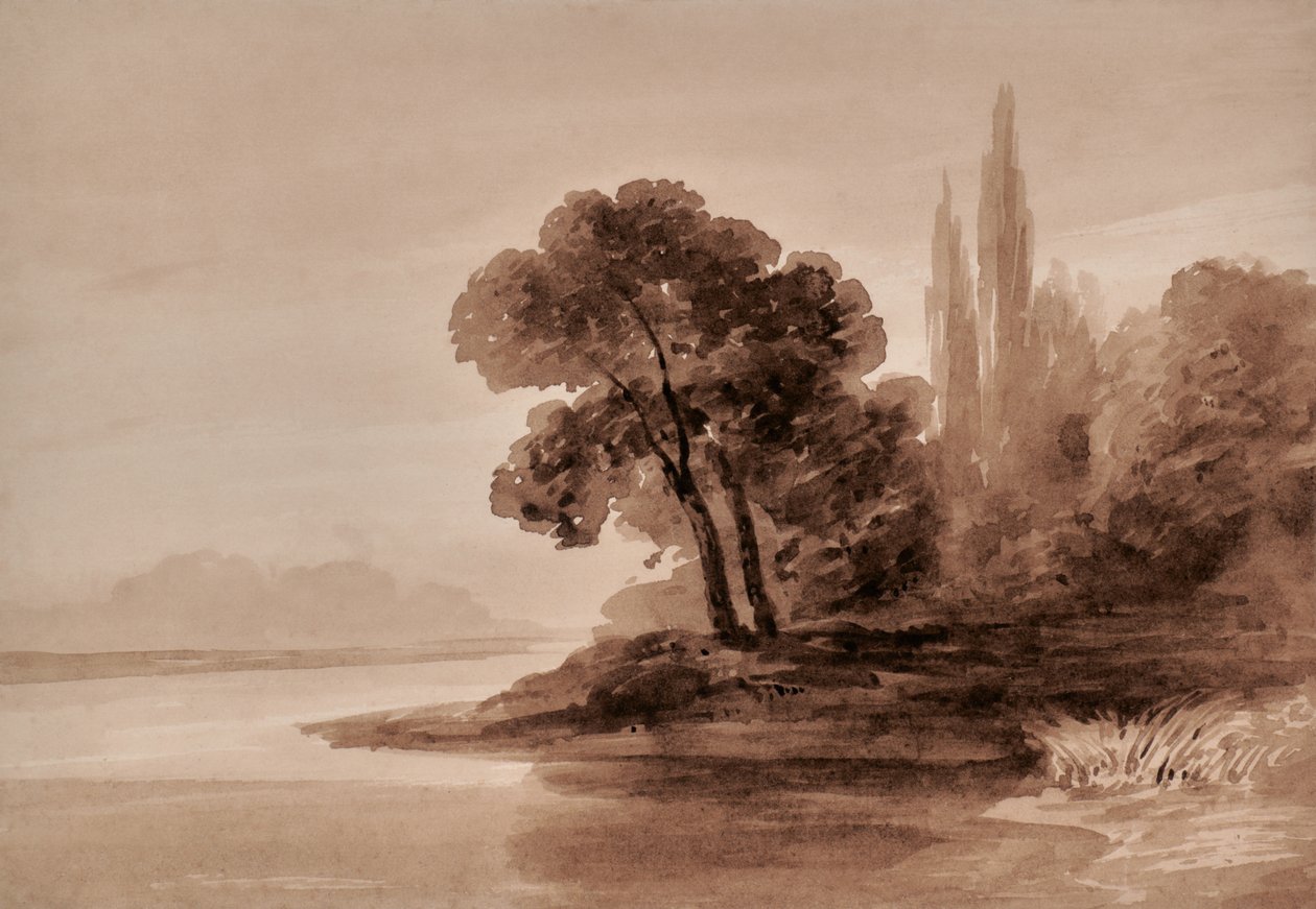 Landschap met bomen door Edward Pretty