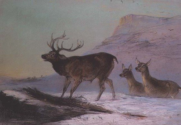 Winter door Edward Robert Smythe