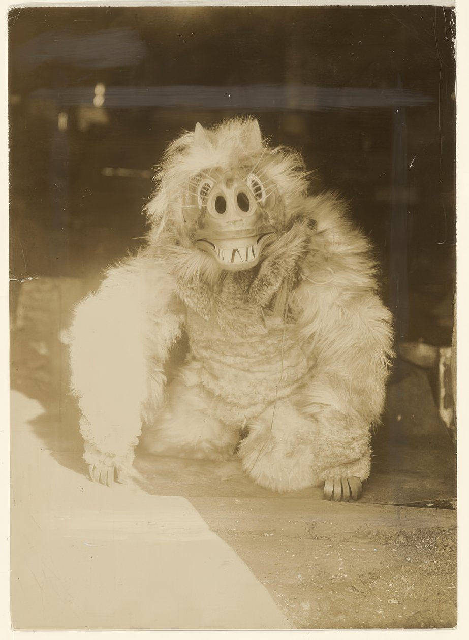 In het wolvenmasker door Edward S. Curtis