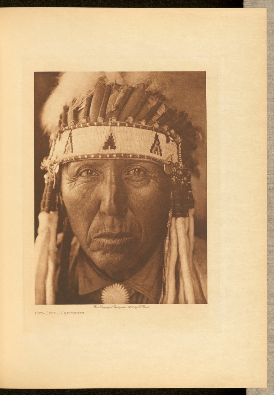 Rode Vogel - Cheyenne door Edward S. Curtis