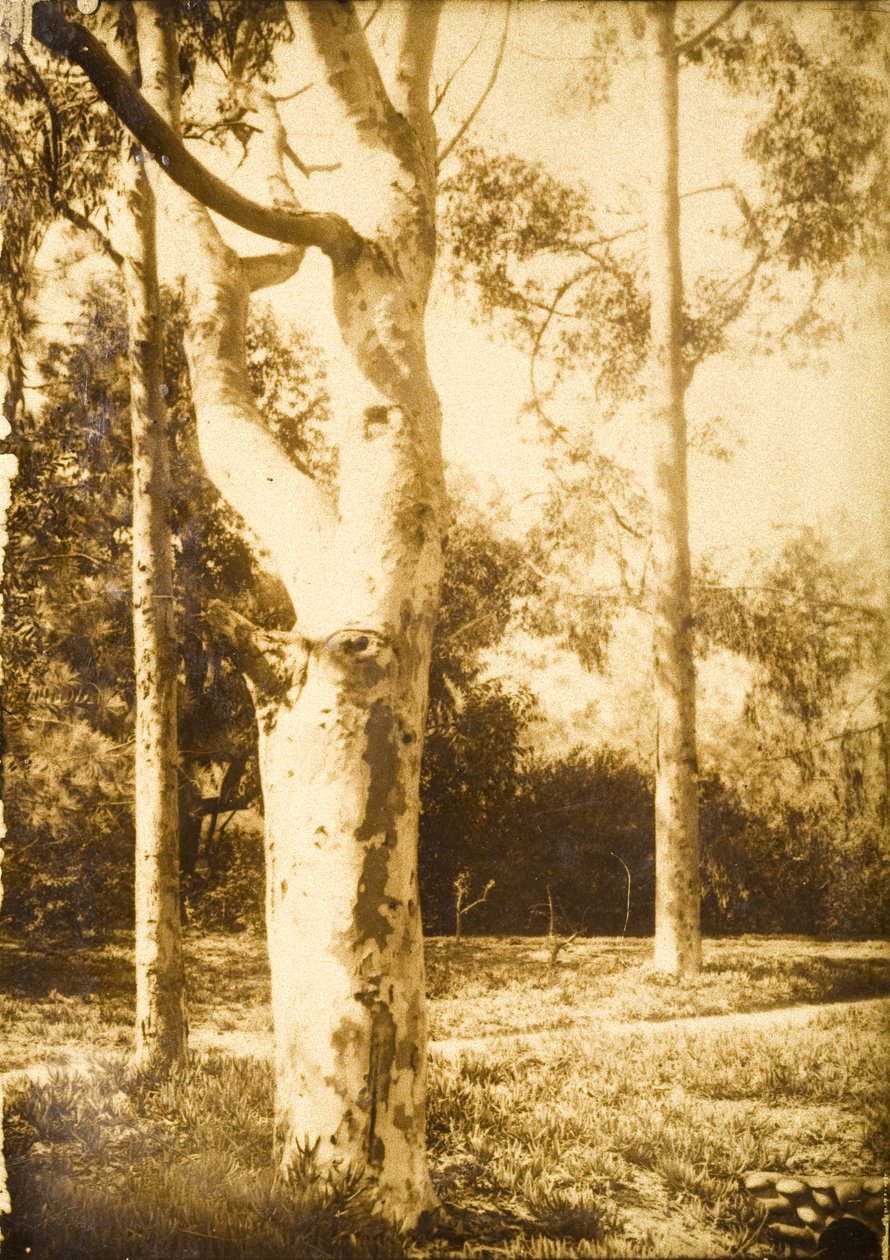 Auf dem Bauernhof, Seattle, Washington door Edward Sheriff Curtis