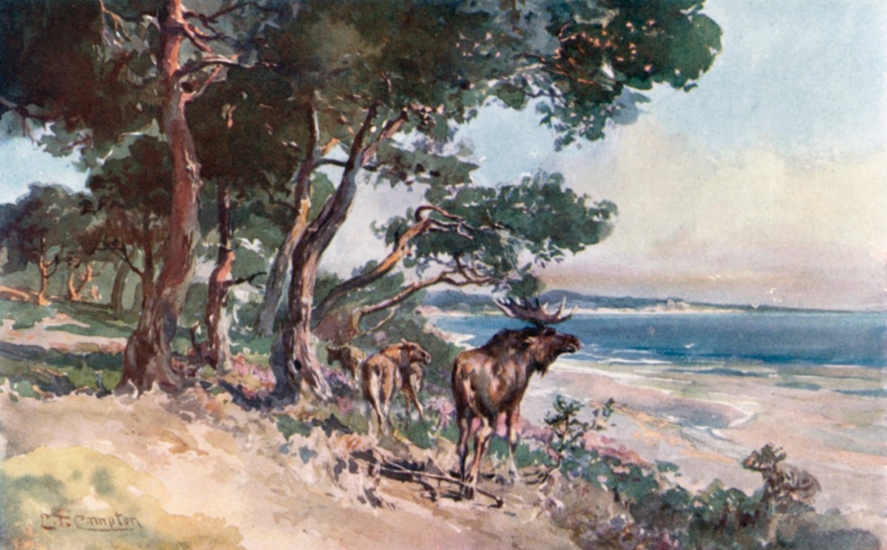 Oost-Pruisisch bos aan het Kurisches Haff (kleurenlitho) door Edward Theodore Compton