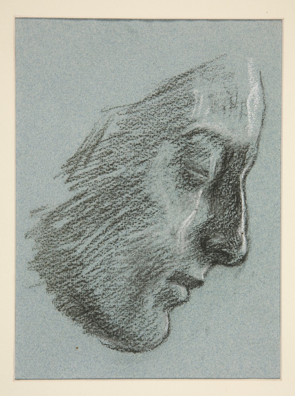 Profiel van een jonge vrouw door Edwin Austin Abbey