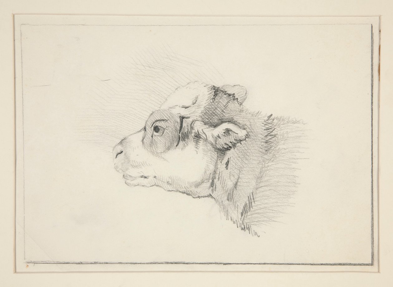 Schets van een schaap door Edwin Austin Abbey