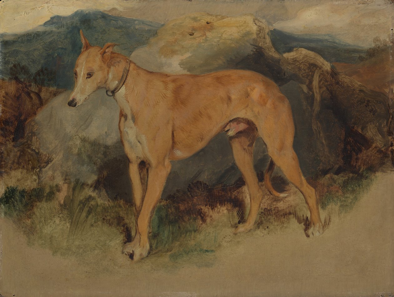 Een Deerhound door Edwin Landseer