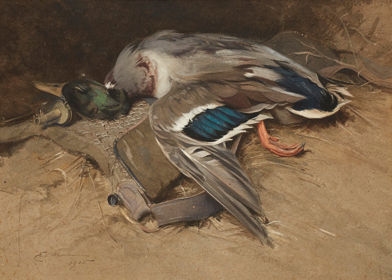 Wilde eend drake door Edwin John Alexander