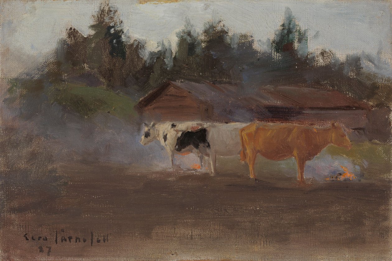 Koeien in Turf Smoke, onderzoek door Eero Järnefelt