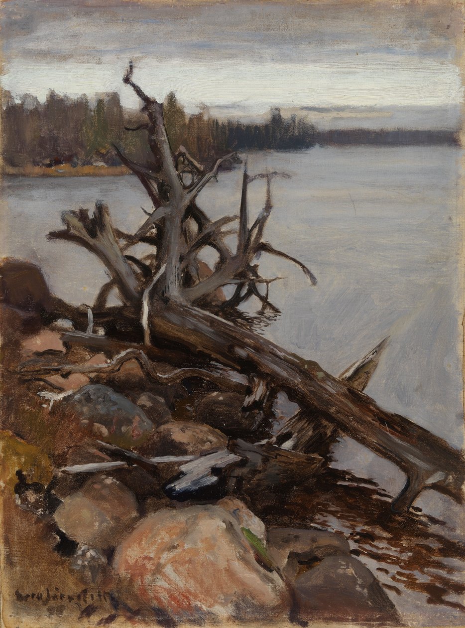 Dode den in het water door Eero Järnefelt