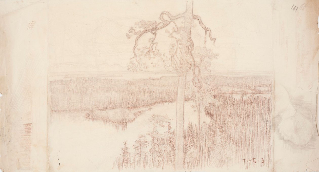 Landschap aan het meer door Eero Järnefelt