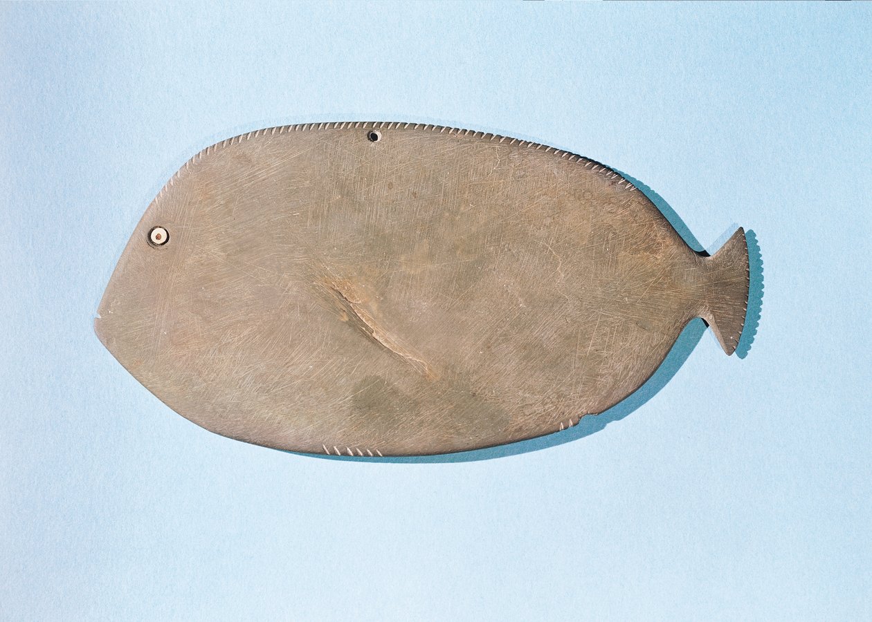 Palet in de vorm van een vis, Pre-dynastieke periode (5000-3100 v.Chr.) door Egyptian