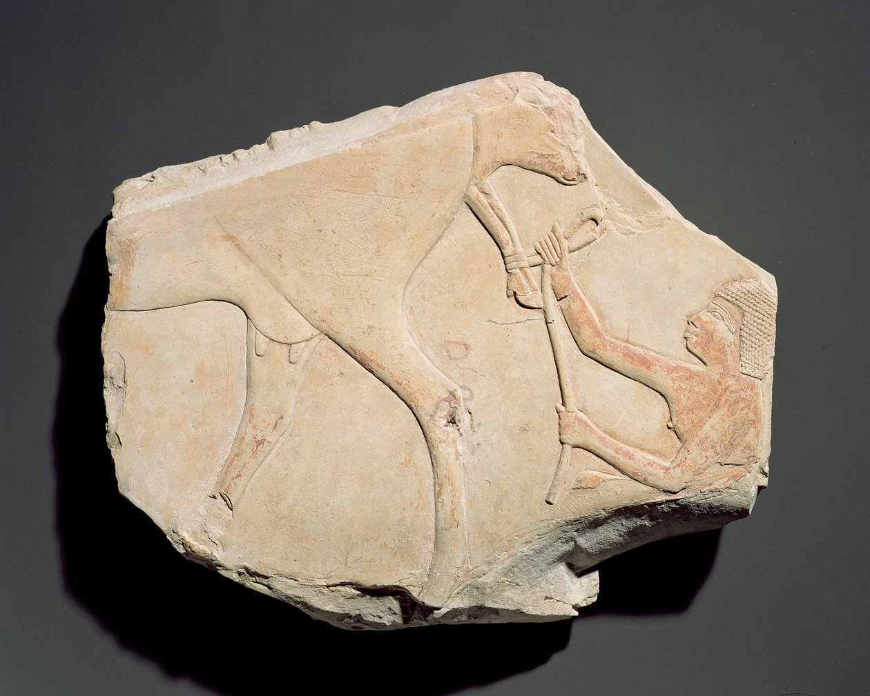 Fragment van een reliëf dat de geboorte van een kalf uitbeeldt, uit Asasif, Thebe, Derde Tussenperiode (c.1069-664 v.Chr.) door Egyptian