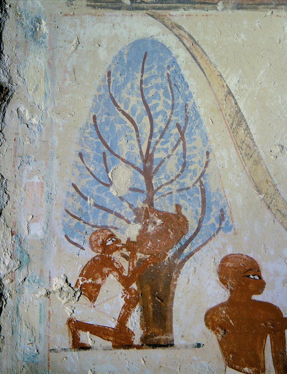  door Egyptian 18th Dynasty