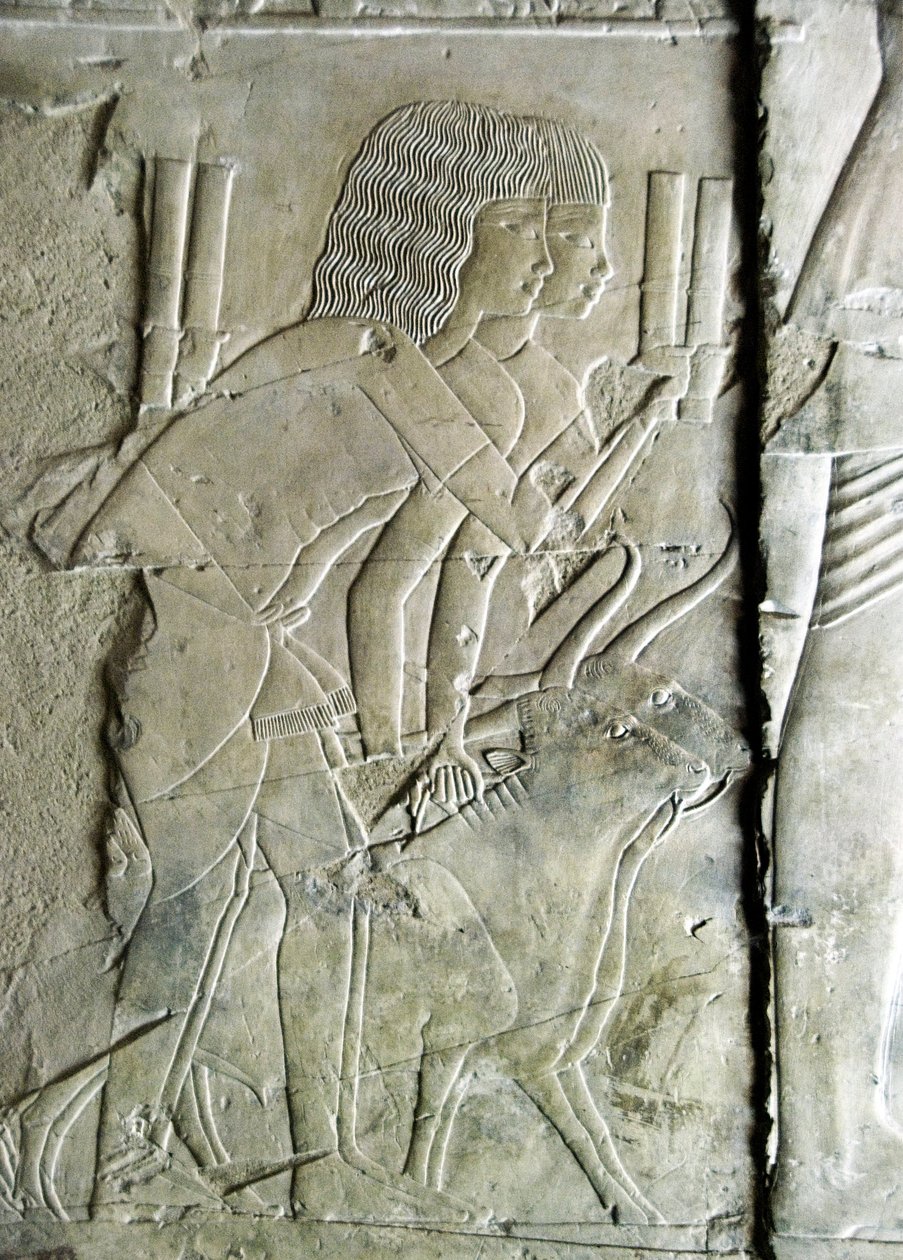Egyptische oudheid: reliëf uit het graf van Kha em Het (Khaemhat) inspecteur van zolders en schrijver aan het hof van Amenophis III (TT57) mannen die bietenhoofden als offer aanbieden. 18e dynastie. 1530-1290 v.Chr. Vallei der Edelen. Luxor, Westoever, Egy door Egyptian 18th Dynasty