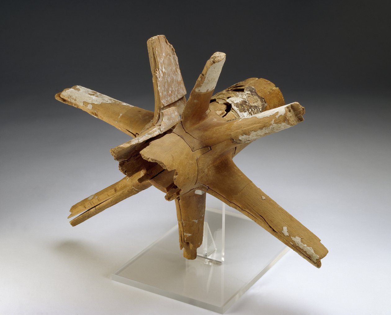 Naaf en spaken van wagenwiel door Egyptian 18th Dynasty