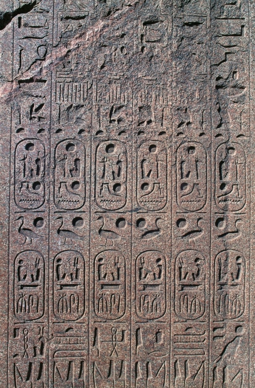 Blok met reliëfs en inscripties, Grote Tempel van Amon, Tanis, Egypte, Nieuwe Rijk, Dynastie XIX door Egyptian 19th Dynasty