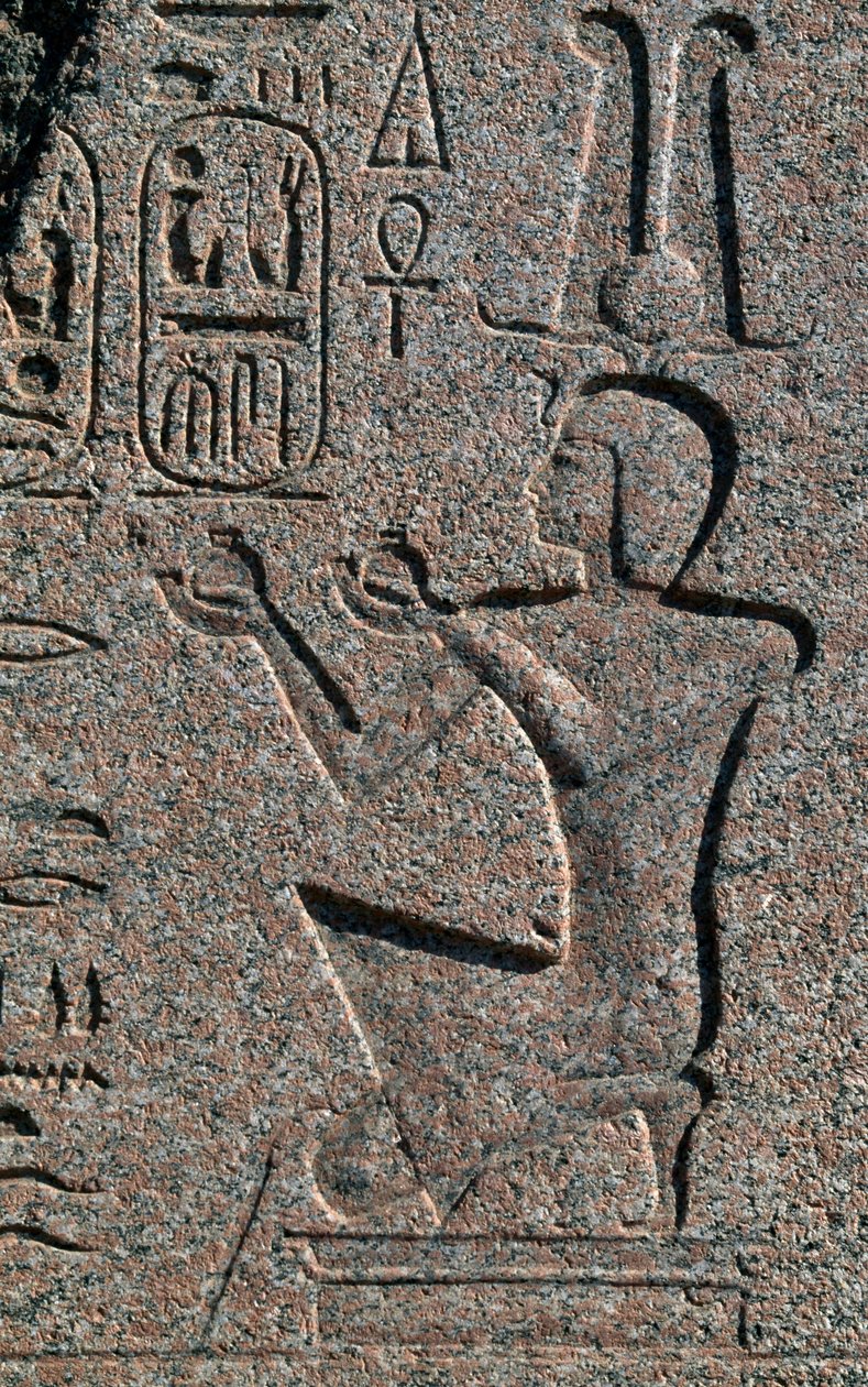 Blok met reliëfs en inscripties van Ramses II, Grote Tempel van Amon, Tanis, Egypte, Egyptische beschaving, Nieuwe Rijk, Dynastie XIX door Egyptian 19th Dynasty