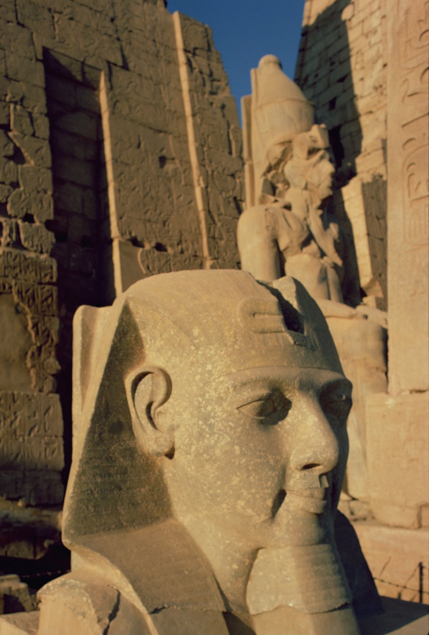 Kolossaal hoofd van Ramses II door Egyptian 19th Dynasty