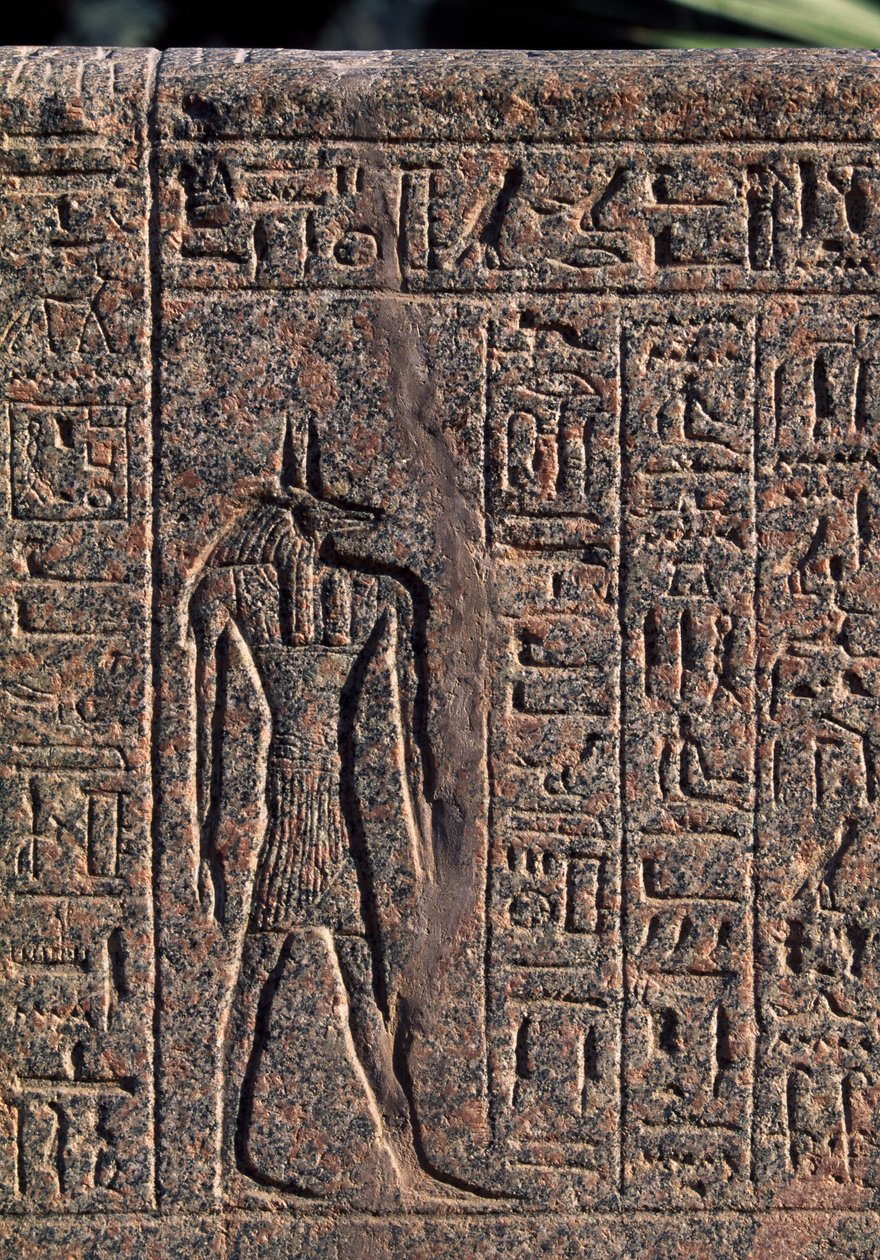 Afbeelding van Anubis, (detail) door Egyptian 19th Dynasty