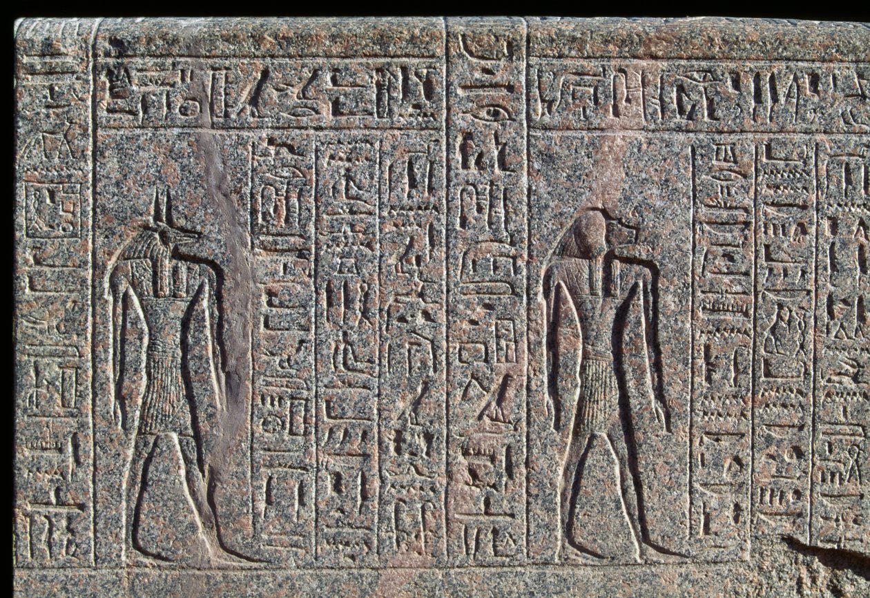 Afbeelding van Anubis, detail van inscriptie en reliëf van Anubis en een andere god, sarcofaag van Amenhotep, Memphis, Egypte, Nieuwe Koninkrijk, Dynastie XIX door Egyptian 19th Dynasty