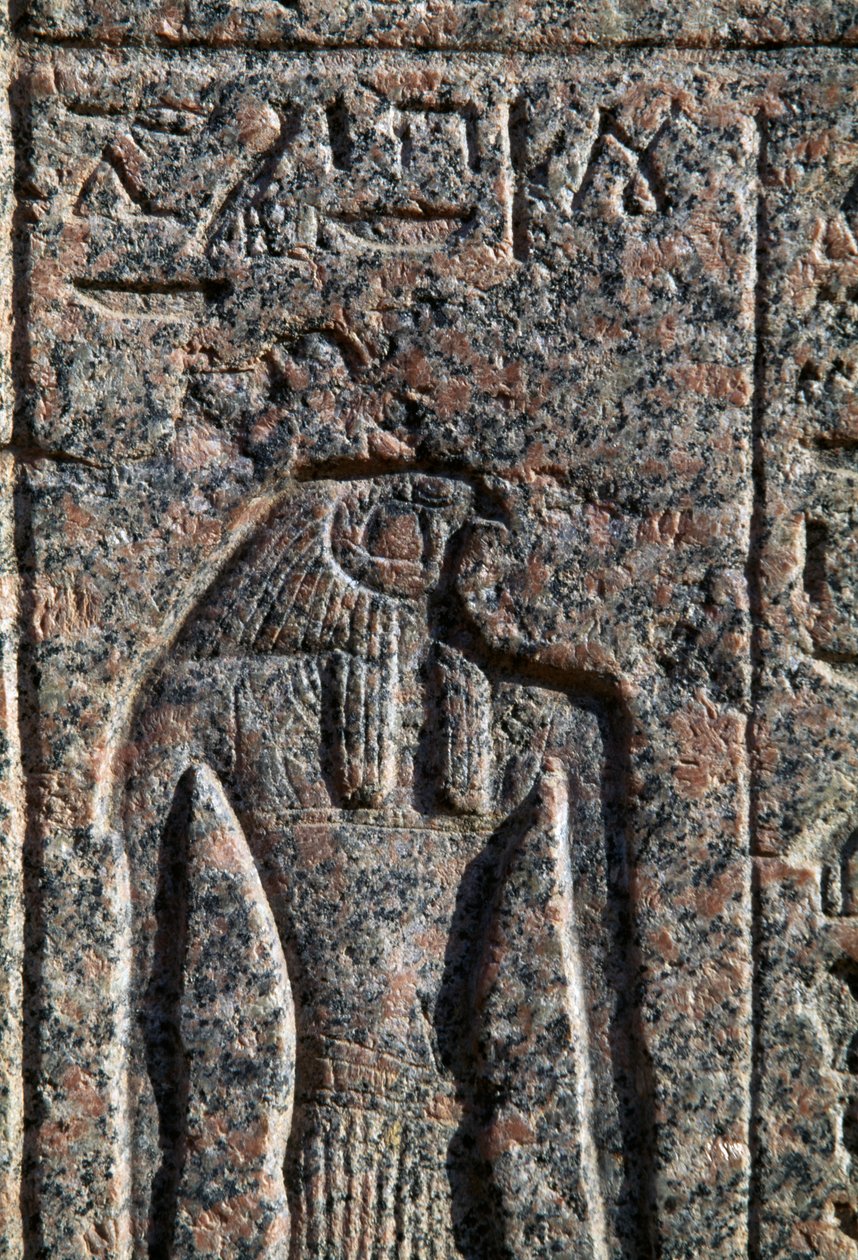 Afbeelding van Horus, inscriptie en reliëf van Horus en Thoth, sarcofaag van Amenhotep, Memphis, Egypte, Nieuwe Rijk, Dynastie XIX door Egyptian 19th Dynasty
