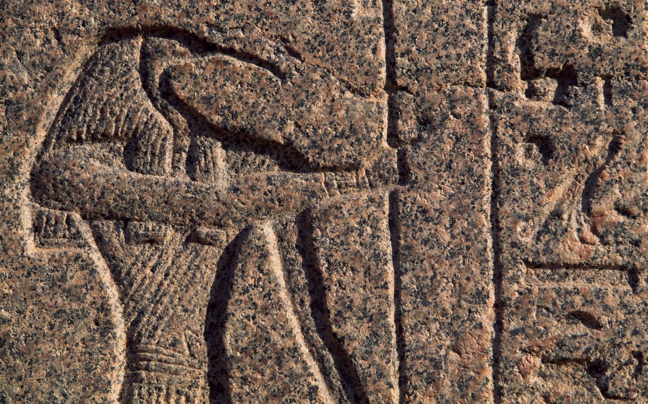 Afbeelding van Thoth, detail van inscriptie en reliëf van Thoth en Horus, sarcofaag van Amenhotep, Memphis (UNESCO Werelderfgoedlijst) door Egyptian 19th Dynasty