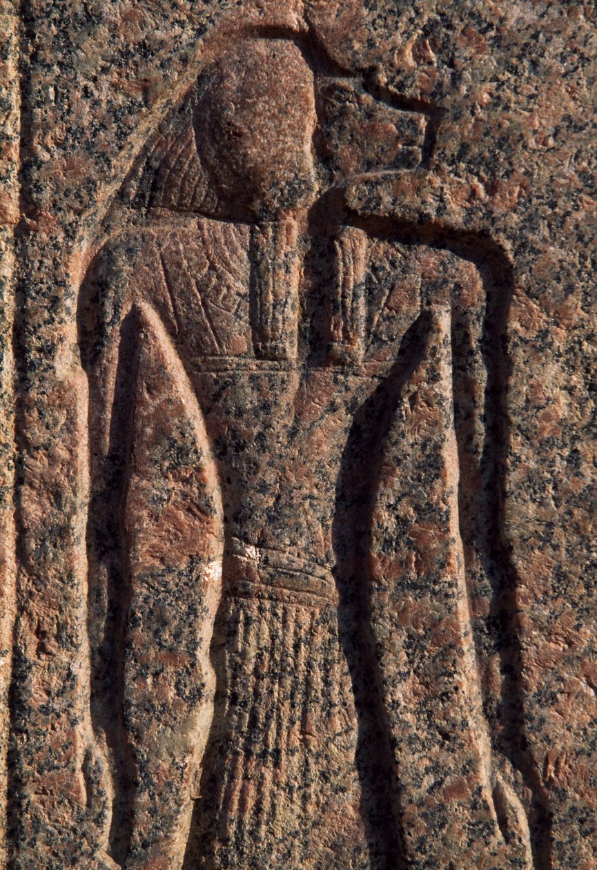 Inscriptie en reliëf van Anubis en een andere god, sarcofaag van Amenhotep, Memphis (Unesco Werelderfgoedlijst) door Egyptian 19th Dynasty