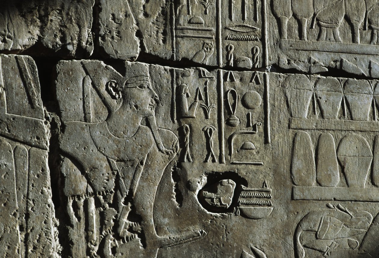 Reliëf, Tempel van Amon, Luxor, oud Thebe (UNESCO Werelderfgoedlijst) door Egyptian 19th Dynasty
