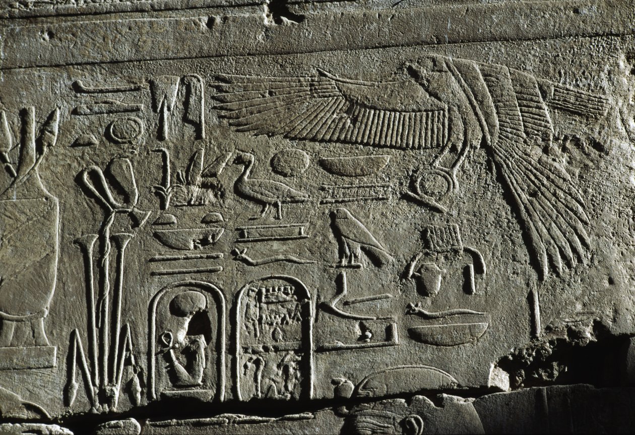 Reliëf, Tempel van Amon, Luxor, oud Thebe (UNESCO Werelderfgoedlijst) door Egyptian 19th Dynasty