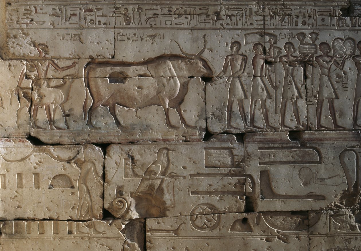 Reliëf, Tempel van Ramses II, Abydos, Egypte, Egyptische beschaving, Nieuwe Rijk, Dynastie XIX (foto) door Egyptian 19th Dynasty