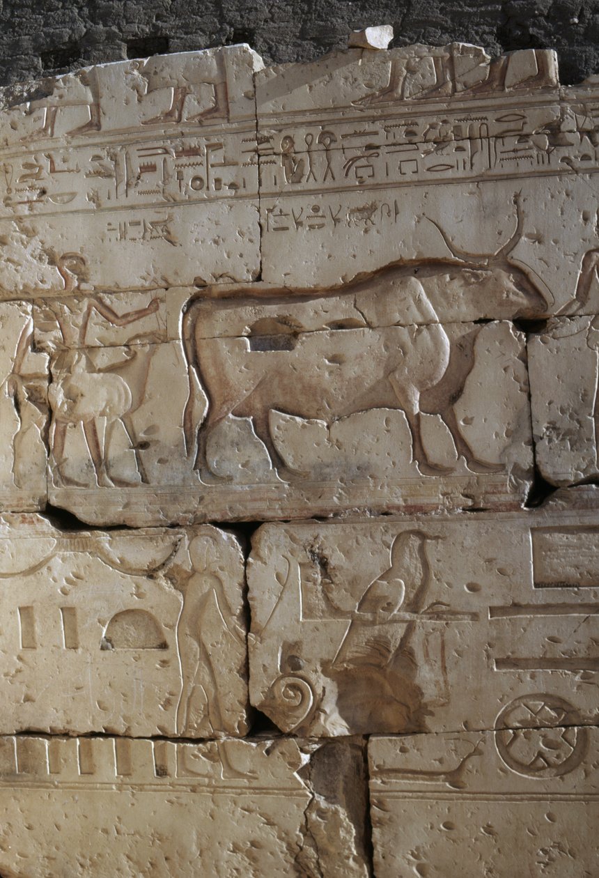 Reliëf, Tempel van Ramses II, Abydos, Egypte, Egyptische beschaving, Nieuwe Rijk, Dynastie XIX door Egyptian 19th Dynasty