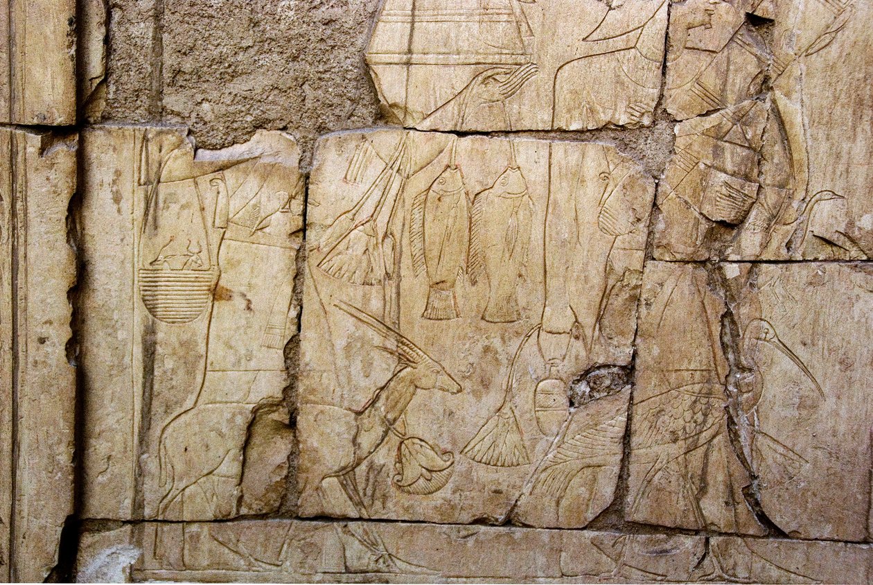 Egyptische oudheid: reliëf dat dragers van offers voorstelt. Graf van Ankh-Hor (Ankh Hor) (TT414) (26e dynastie, 672-525 v.Chr.), Luxor (Thebe), Egypte door Egyptian 26th Dynasty