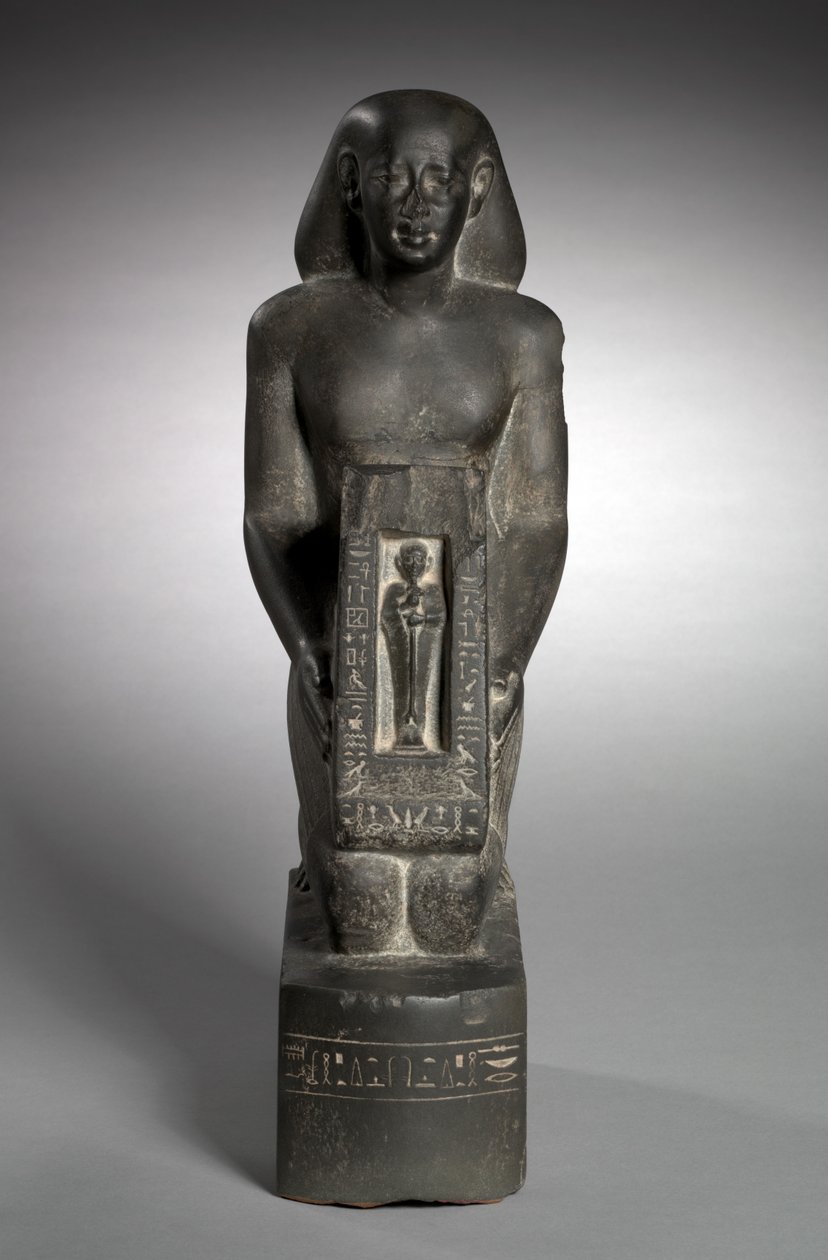 Naophore beeld van de financieel ambtenaar en opzichter van velden, Horwedja, 521-486 v.Chr. door Egyptian 27th Dynasty