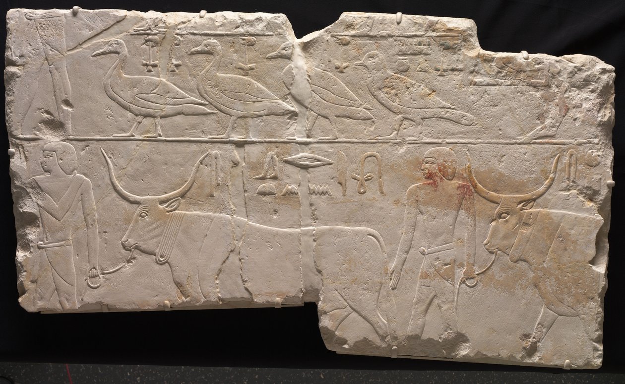 Reliëf van mannen die vogels en vee brengen, ca. 2311-2281 v.Chr. door Egyptian 6th Dynasty