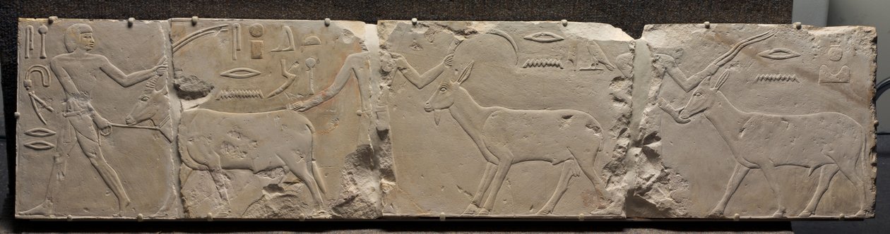 Reliëf van mannen die woestijndieren brengen, ca. 2311-2281 v.Chr. door Egyptian 6th Dynasty