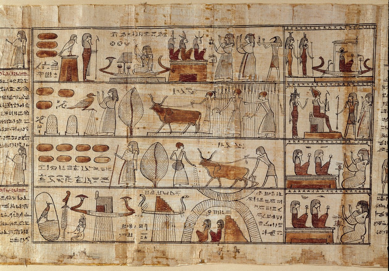Egyptische oudheden: de Elyseese velden. Schilderij op papyrus uit het Dodenboek. Ptolemaeïsche periode. Egyptisch museum, Turijn door Egyptian Ptolemaic Period